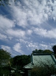 01)　大殿（本堂）上空の雲　＿ 07.10.20 鎌倉「光明寺」境内から見上げた秋空.jpg
